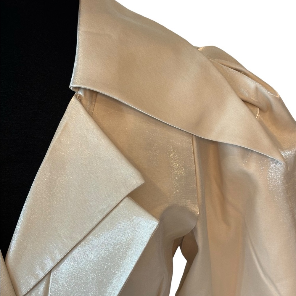 Cream Metallic Sheen Belted Jacket - Picture 11 of 15